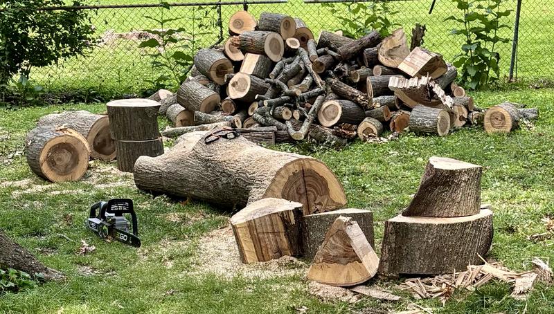EGO 16" chain saw customer photo 1
