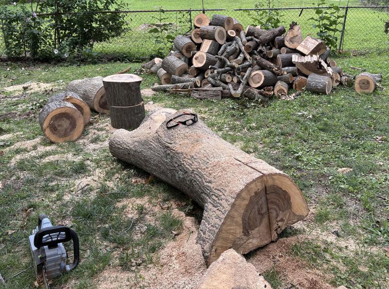 EGO 16" chain saw customer photo 2