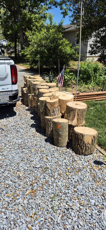 EGO 16" chain saw customer photo 6