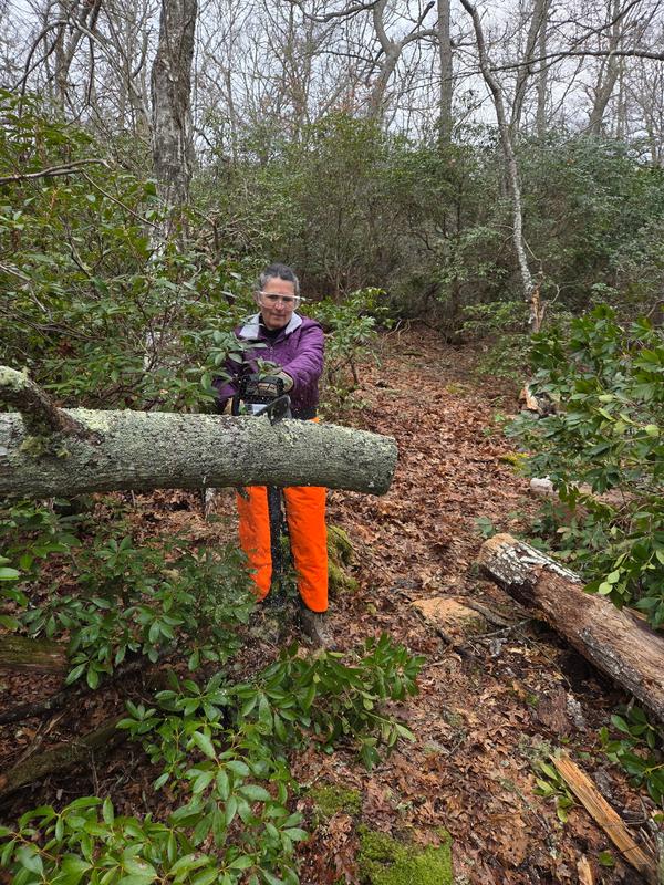 EGO 16" chain saw customer photo 13