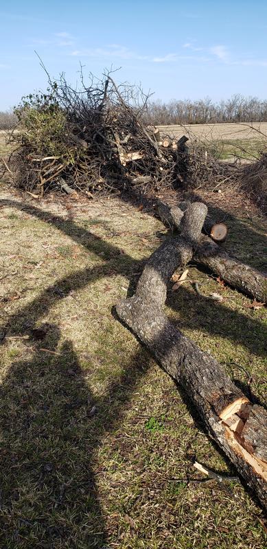 EGO 16" chain saw customer photo 20