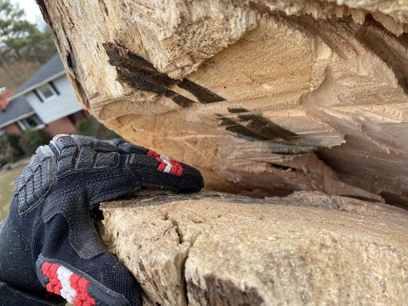 EGO 16" chain saw customer photo 30